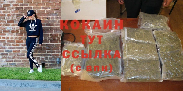 СК Алзамай