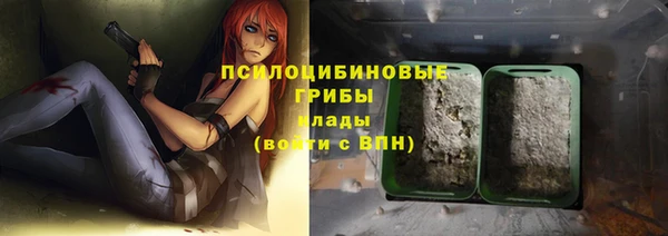 СК Алзамай